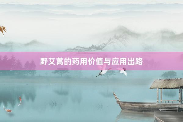 野艾蒿的药用价值与应用出路