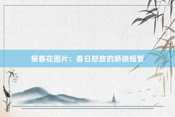 报春花图片：春日怒放的娇娆短暂
