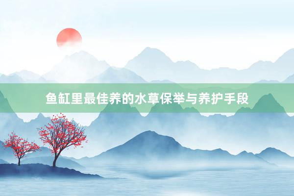 鱼缸里最佳养的水草保举与养护手段