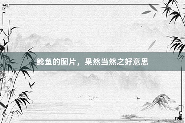 鲶鱼的图片，果然当然之好意思