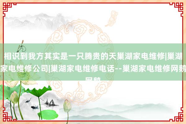 相识到我方其实是一只腾贵的天巢湖家电维修|巢湖家电维修公司|巢湖家电维修电话--巢湖家电维修网鹅