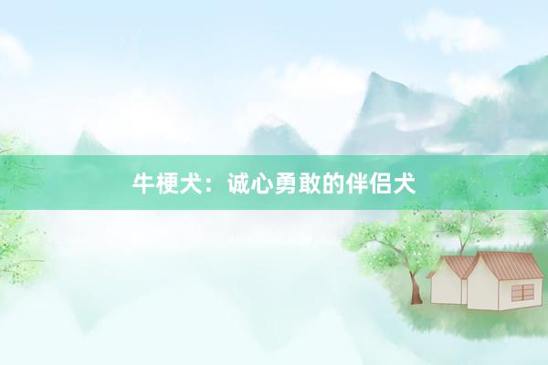 牛梗犬：诚心勇敢的伴侣犬