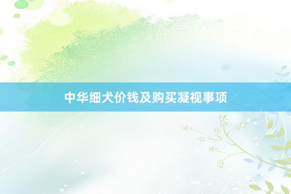 中华细犬价钱及购买凝视事项